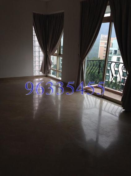 Parc Palais (D21), Condominium #161059352